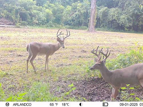 Brushy Lake Farm : Helena : Phillips County : Arkansas