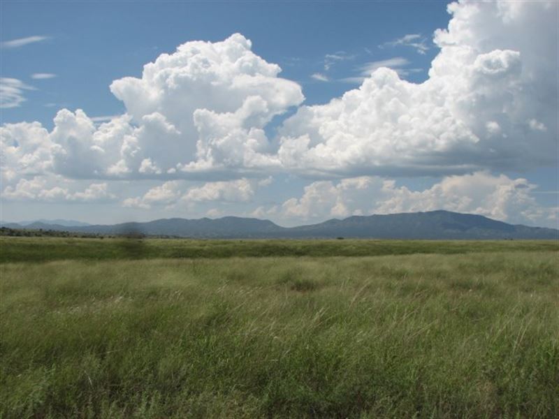 152 Acres San Rafael Valley Az Ranch For Sale In Patagonia Santa Cruz County Arizona 242167 Ranchflip