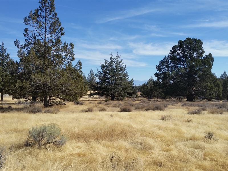 Over 23 Acres Beautiful Modoc Ranch for Sale in Canby, Modoc County