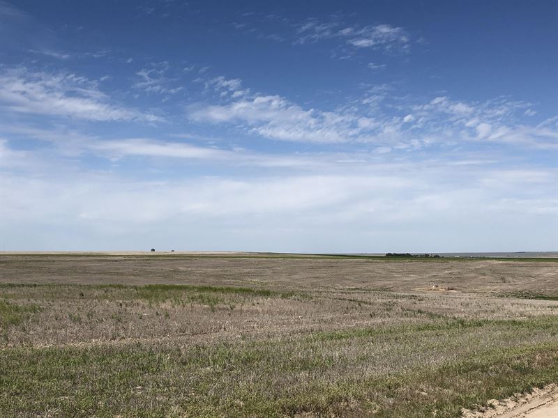 Cheyenne County Farm : Bird City : Cheyenne County : Kansas