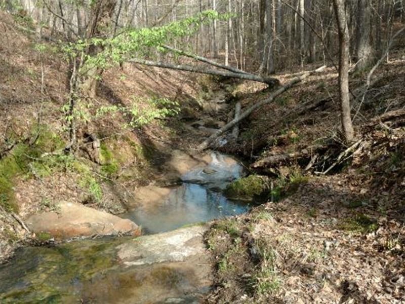 Hunting, Creek, Big Timber : Greensboro : Greene County : Georgia