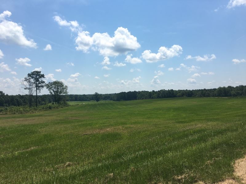 139 Acres Woods & Pasture : Bogue Chitto : Lincoln County : Mississippi