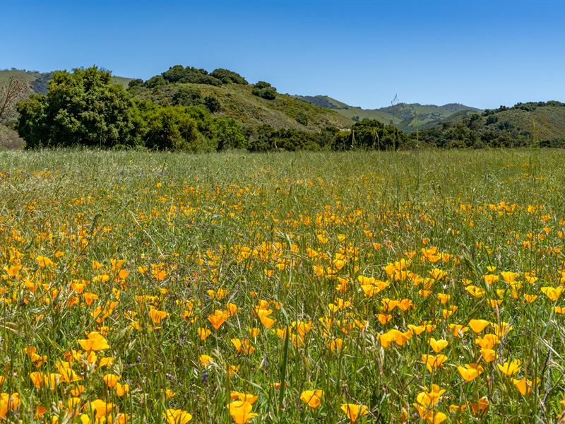 Rana Creek Ranch : Carmel Valley : Monterey County : California