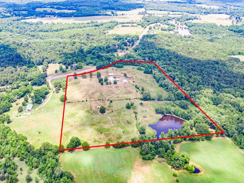 East Texas Land, Wood County TX, Ranch for Sale in Texas, 243767