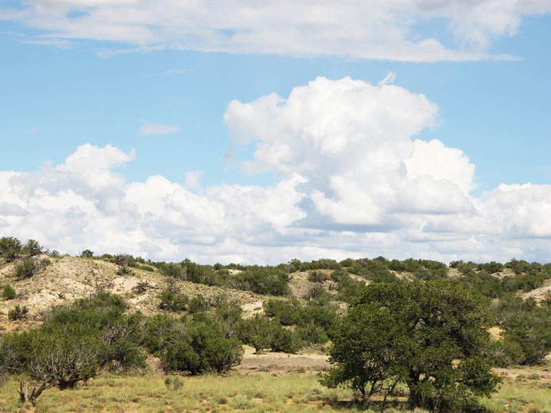 Little Colorado River Ranches, Ranch for Sale in Arizona, 243888 RANCHFLIP