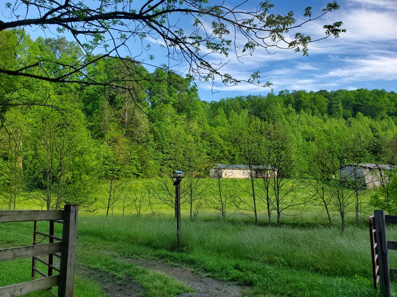 28 Unrestricted Acres with Barn : New Tazewell : Claiborne County : Tennessee
