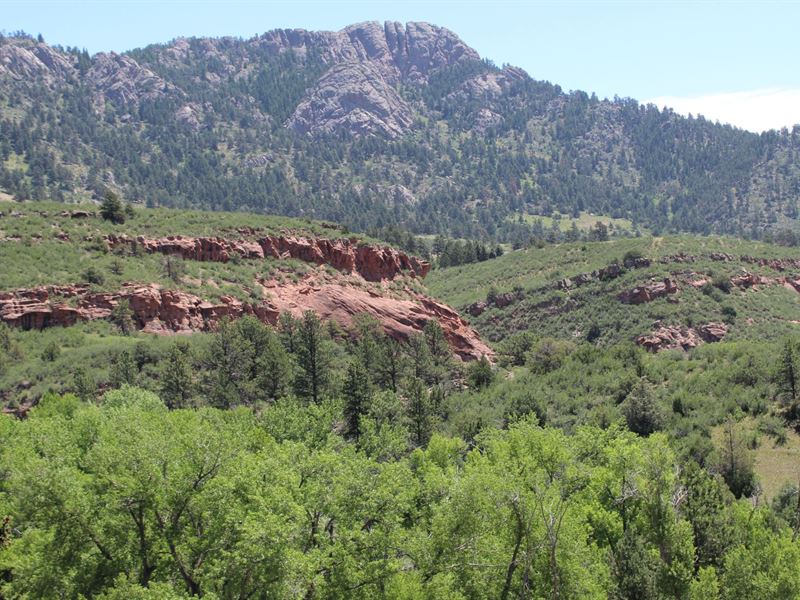 Redstone Canyon Ridge : Bellvue : Larimer County : Colorado