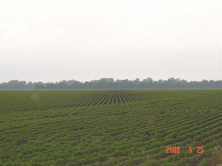 4,959 Acres : Marianna : Lee County : Arkansas