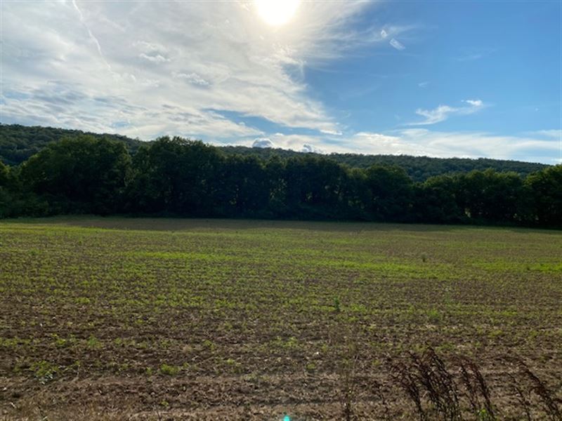54+/- Acres Prime Agricultural Prop : South Pittsburg : Marion County : Tennessee