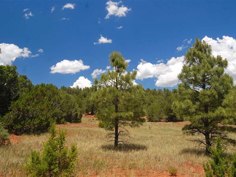 Red Canyon Ranch, Ranch for Sale in New Mexico, 244582 RANCHFLIP