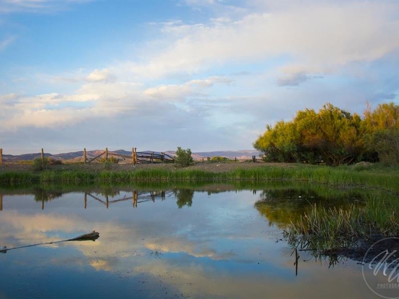 Suckla Ranch, Ranch for Sale in Colorado, 244649 RANCHFLIP