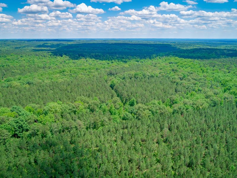 Recreational Property Near Rockton : Winnsboro : Fairfield County : South Carolina