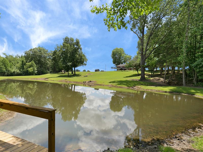 Country Estate Tn, Spring Fed Pond : Henderson : Chester County : Tennessee