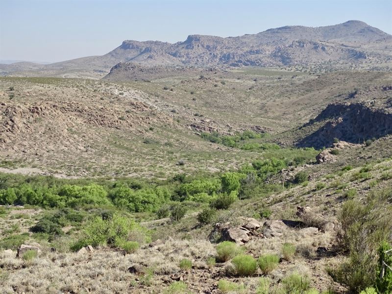 Hillsboro Quail, Dove & Deer, Ranch for Sale in New Mexico, 245080