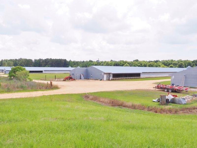 Breeder Poultry Farm, 36 Acres, 5 : Oak Vale : Lawrence County : Mississippi