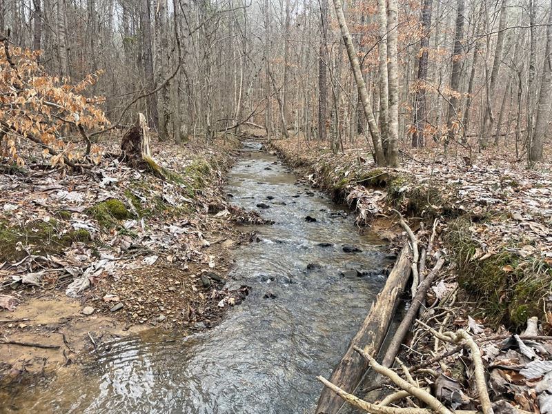 61 Acre Home and Timber Tract in Cu : Bremen : Cullman County : Alabama