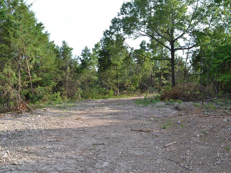 Price Reduced, 94.78 Acres : Marshall : Searcy County : Arkansas