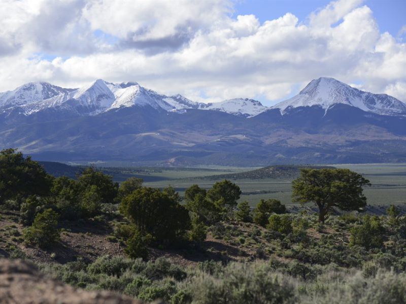 10 Acres in The Sangre DE Cristo : Fort Garland : Costilla County : Colorado