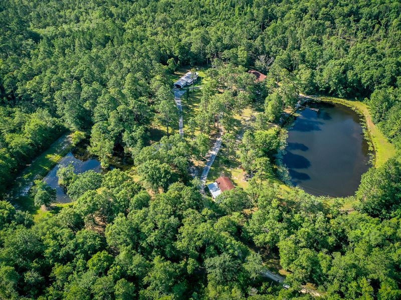 Twelve Acres with Two Homes Ranch for Sale in Jesup, Wayne County