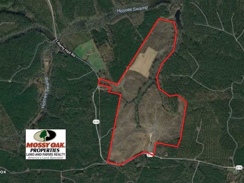 187 Acres of Hunting Residential : King And Queen Court House : King And Queen County : Virginia