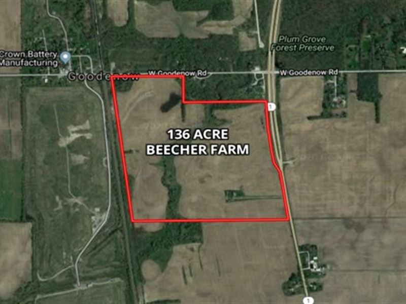 130 Acre Beecher Farm : Beecher : Will County : Illinois