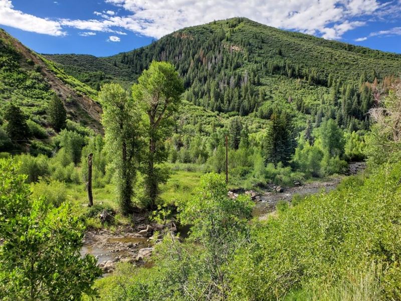 South Fork of Williams Fork River : Hayden : Routt County : Colorado