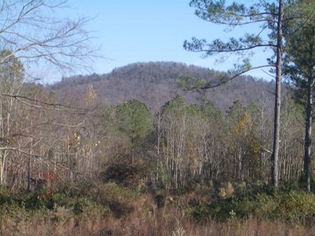 165 Ac - 2800 Ft Rd Frntge - R80040 : Summerville : Chattooga County : Georgia