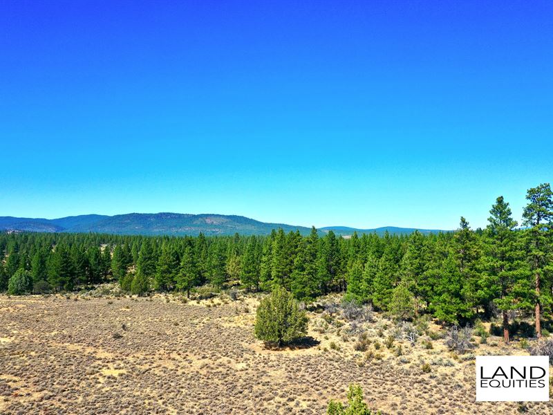 Very Private Location with Trees : Beatty : Klamath County : Oregon