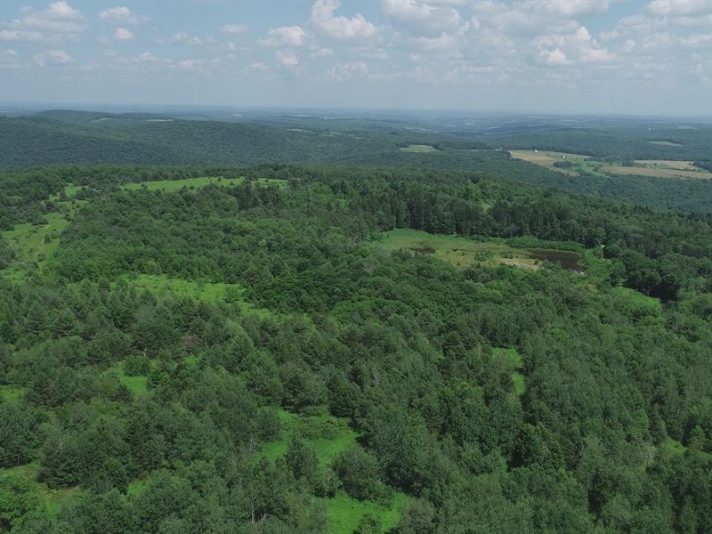 Incredible Massive Acreage : Richford : Tioga County : New York