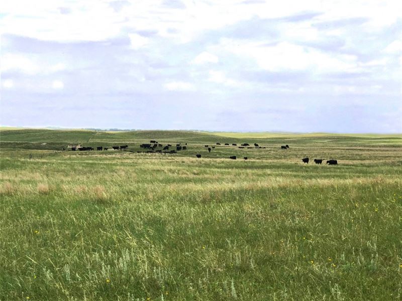 Zimmerman Ranch : Anselmo : Custer County : Nebraska