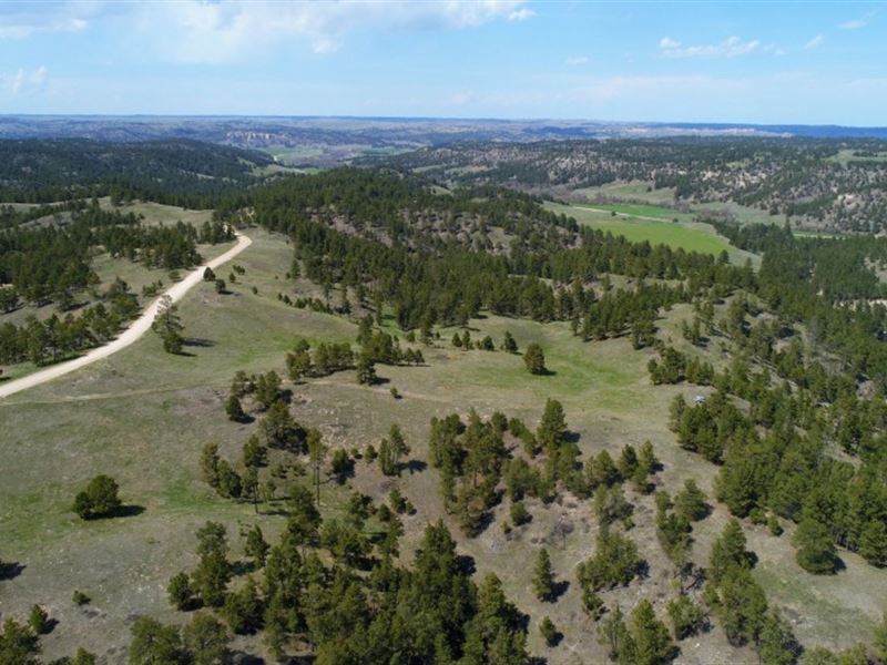 Pine Ridge Elk Ranch, Ranch for Sale in Nebraska, 247123 RANCHFLIP