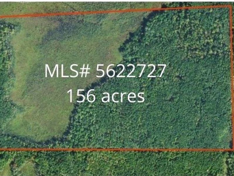 157 Acres Kanabec CO Land for Sale, Ranch for Sale in Minnesota