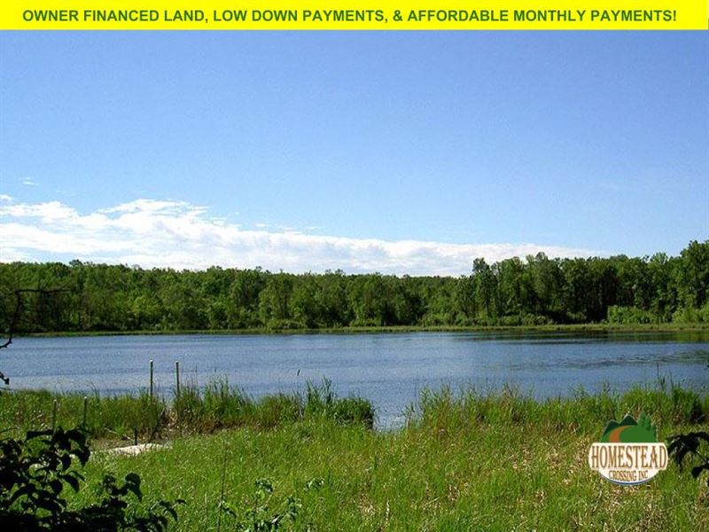 Beautiful Parcel with Frontage : Lengby : Polk County : Minnesota