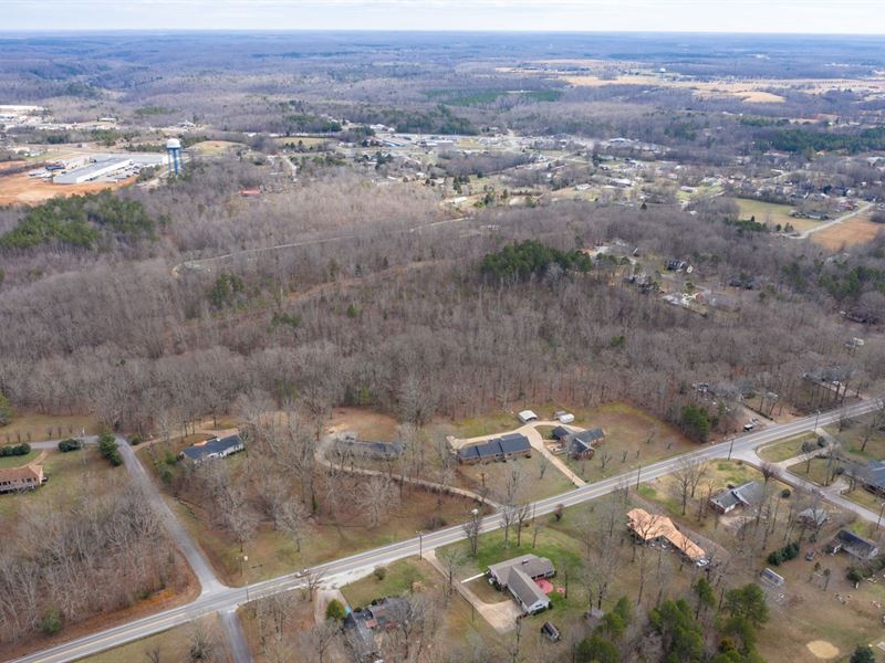 homes for sale in lewis county tn