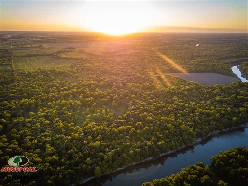 323 Acre Producing Pecan Grove : Miami : Ottawa County : Oklahoma