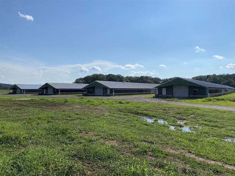 16 House Broiler Poultry Farm : Calhoun : Gordon County : Georgia