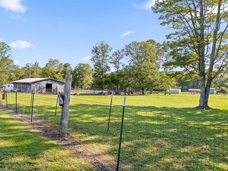 Horse Farm, Close to Chattanooga : Signal Mountain : Hamilton County : Tennessee