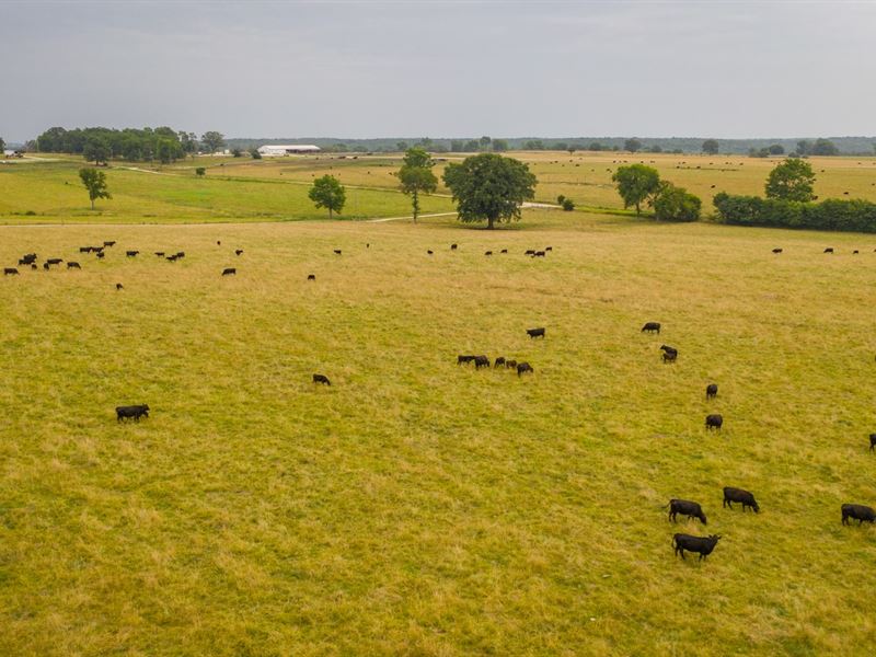 Farm & Ranch Cedar County, MO, Ranch Auction in Missouri, 247936