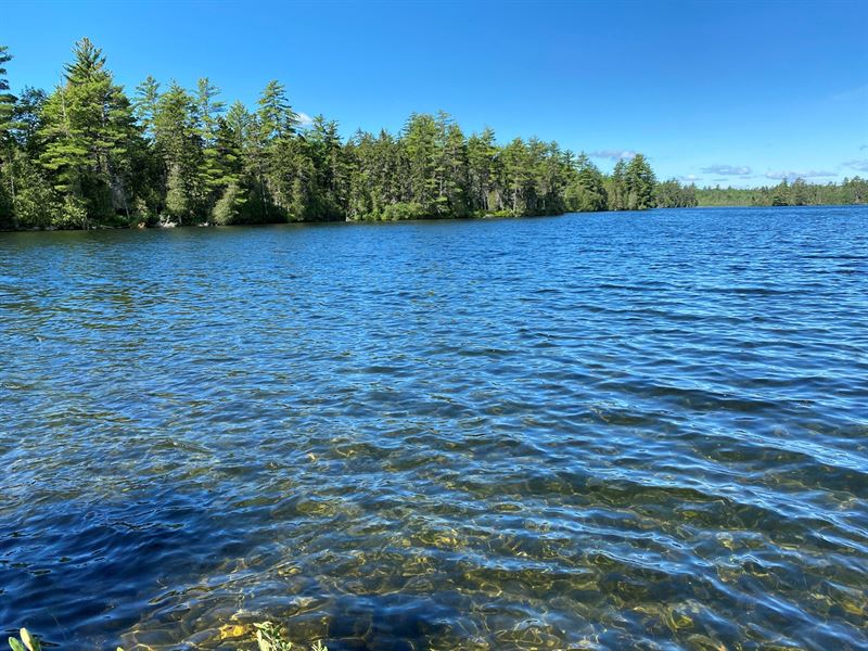 Land for Sale in Lakeview Plt, ME : Lake View : Piscataquis County : Maine