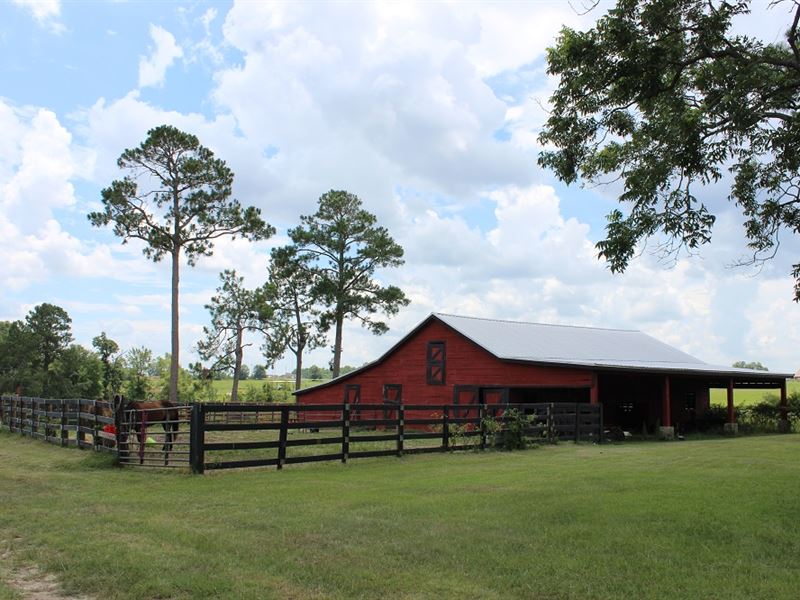 Cattle or Horse Ranch, Ranch for Sale in 248120 RANCHFLIP