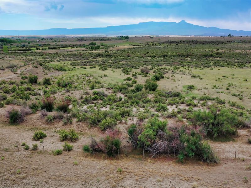 Medical / Law Enforcement Discount : Trinidad : Las Animas County : Colorado