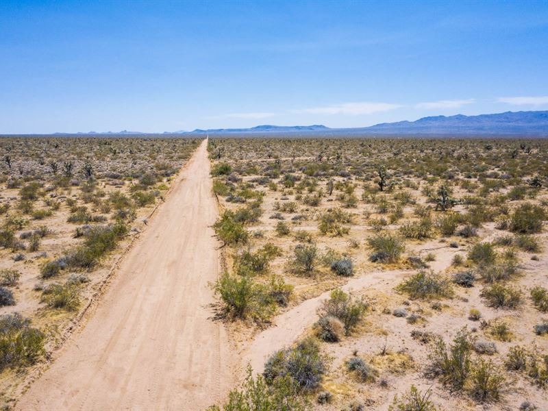 Owner Finance, Desert Fun, 40 Acres : Lake Havasu City : Mohave County : Arizona