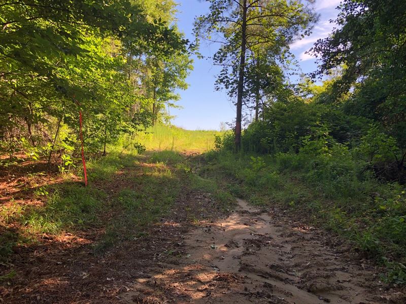 Land for Sale Near Moro Bay : El Dorado : Union County : Arkansas