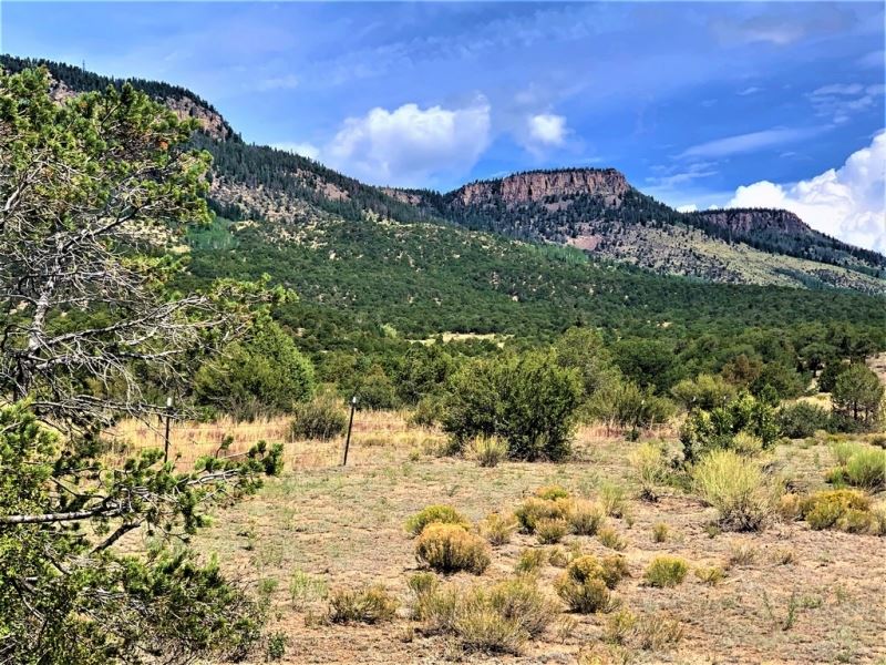 Ranchette Bordering Public Land Ranch for Sale in South Fork, Rio