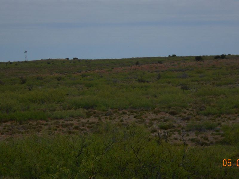 Nice Lakefront Cattle Ranch : Fort Sumner : De Baca County : New Mexico