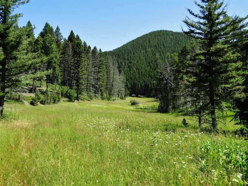 Central Montana Mountain Land, Ranch for Sale in Montana, 249611