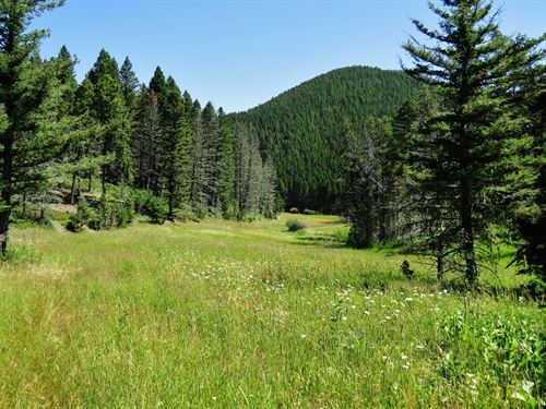 Central Montana Mountain Land : Lewistown : Fergus County : Montana