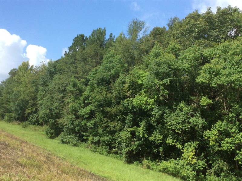 Whisky Chitto Creek Tract, Allen PA : Grant : Allen Parish : Louisiana