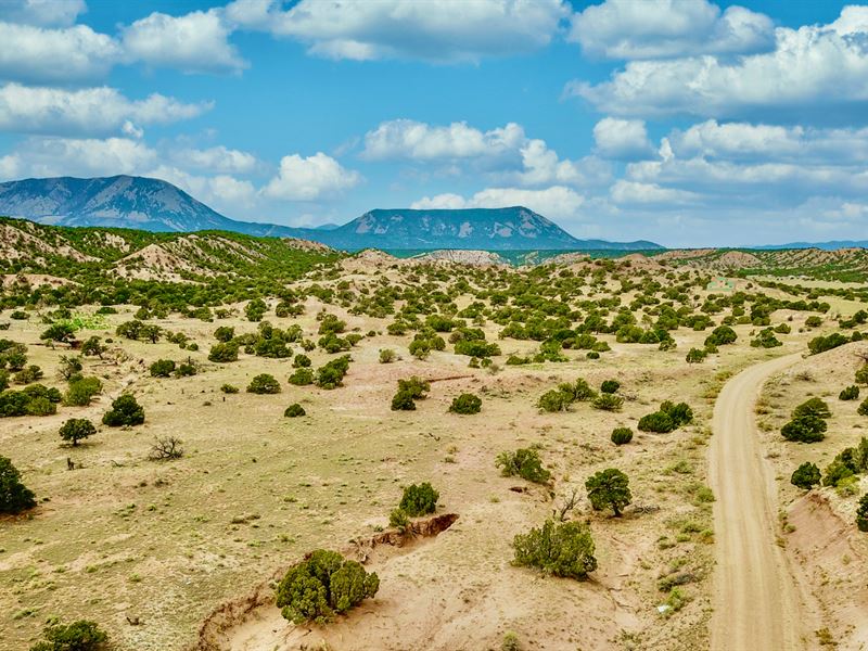 Bordering Blm Land & Road Frontage : Walsenburg : Huerfano County : Colorado