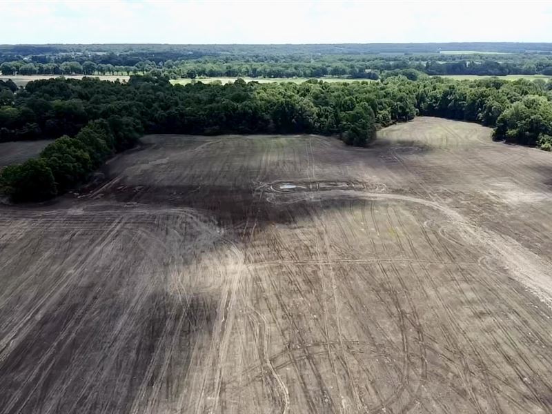 Rural Farm and Timber Land : Helena-West Helena : Phillips County : Arkansas